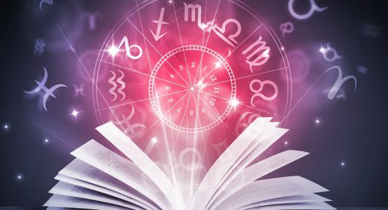 Decima casa astrologica