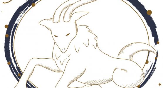 Lilith in Capricorno