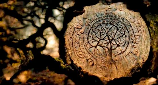 Oroscopo celtico alberi