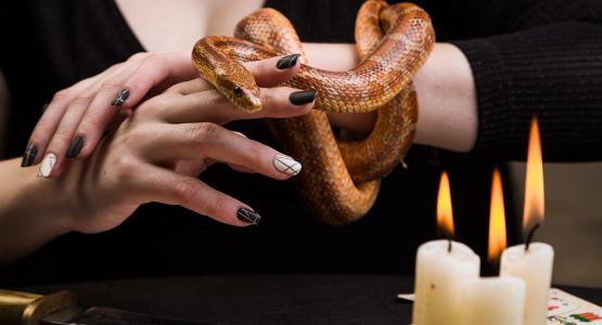 Oroscopo Maya serpente