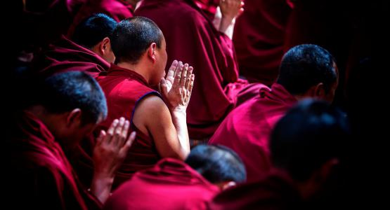 Dalai Lama frasi
