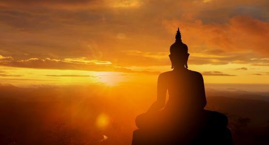 Frasi Buddha 