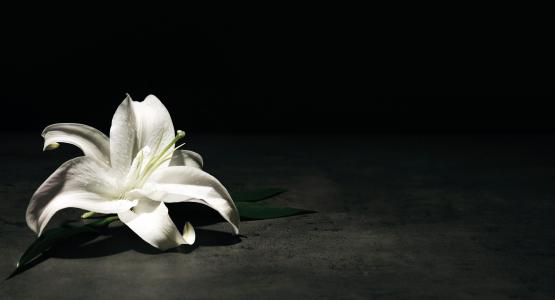 Frasi condoglianze formali