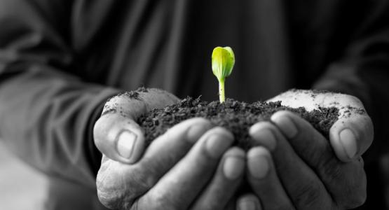 Frasi di buon auspicio per il futuro