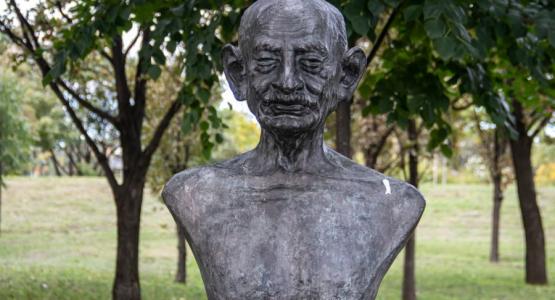 Frasi libertà Gandhi