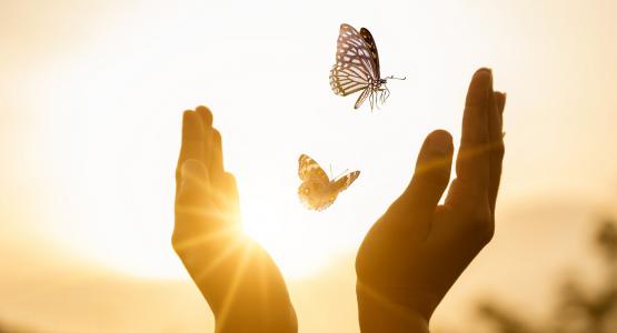 Frasi rinascita cambiamento