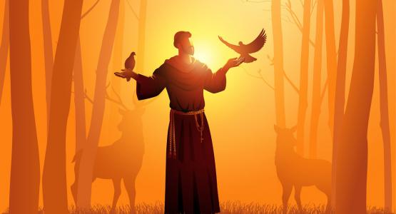 Frasi San Francesco