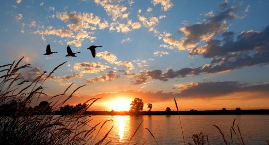 Frasi sul tramonto