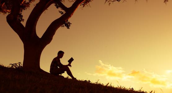 Frasi sulla lettura