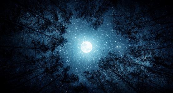 Frasi sulla luna