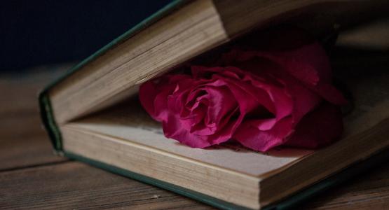 Frasi sulla mancanza di una persona morta