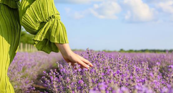 Frasi sulla primavera