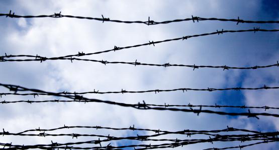 Frasi sulla Shoah
