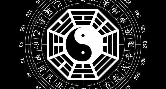 Bagua