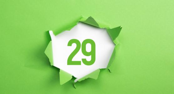 Numero 29