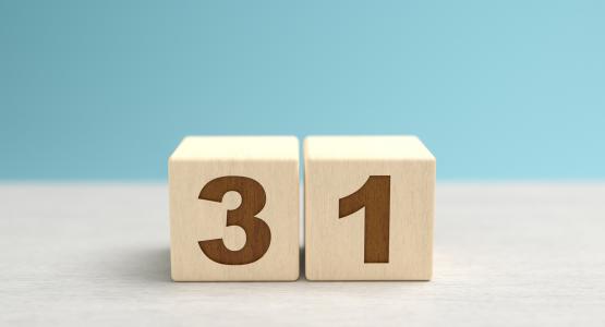 Numero 31
