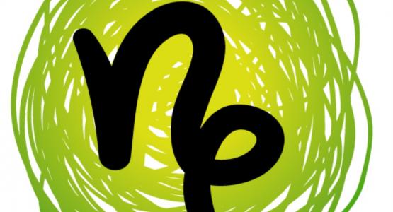 Oroscopo Capricorno 2014