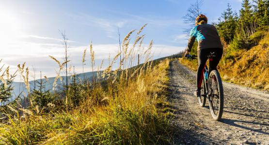 Sognare bicicletta