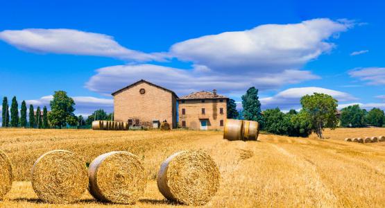 Sognare campagna