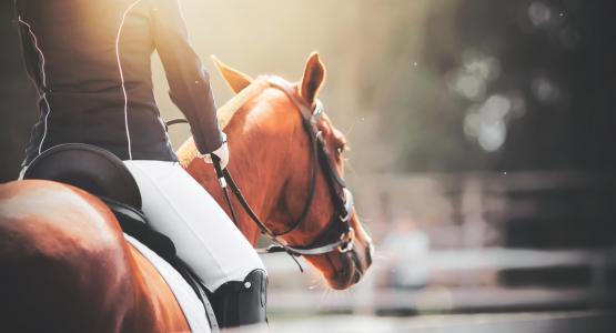 Sognare di andare a cavallo