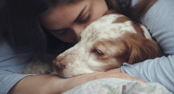 Sognare di avere un cane