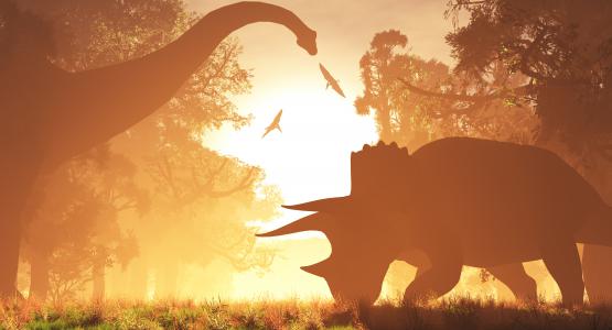 Sognare dinosauri