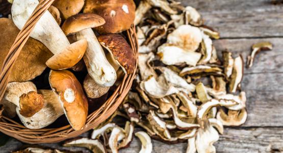 Sognare funghi porcini