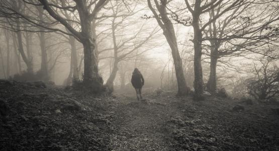 Sognare nebbia
