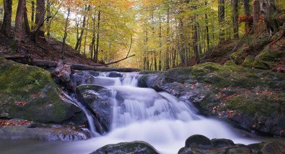 Sognare torrente